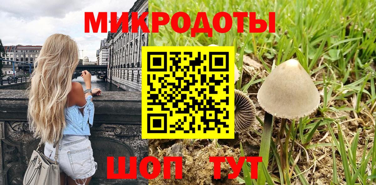 Псилоцибиновые грибы Psilocybine cubensis Прохладный