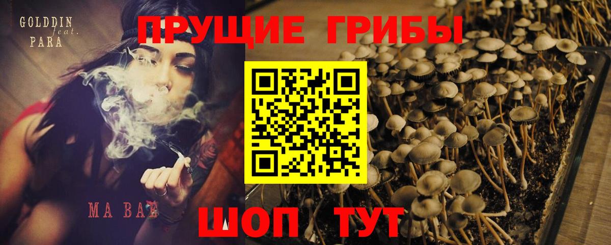 Псилоцибиновые грибы мухоморы  Вход с VPN  Прохладный  Псилоцибиновые грибы Magic Shrooms 